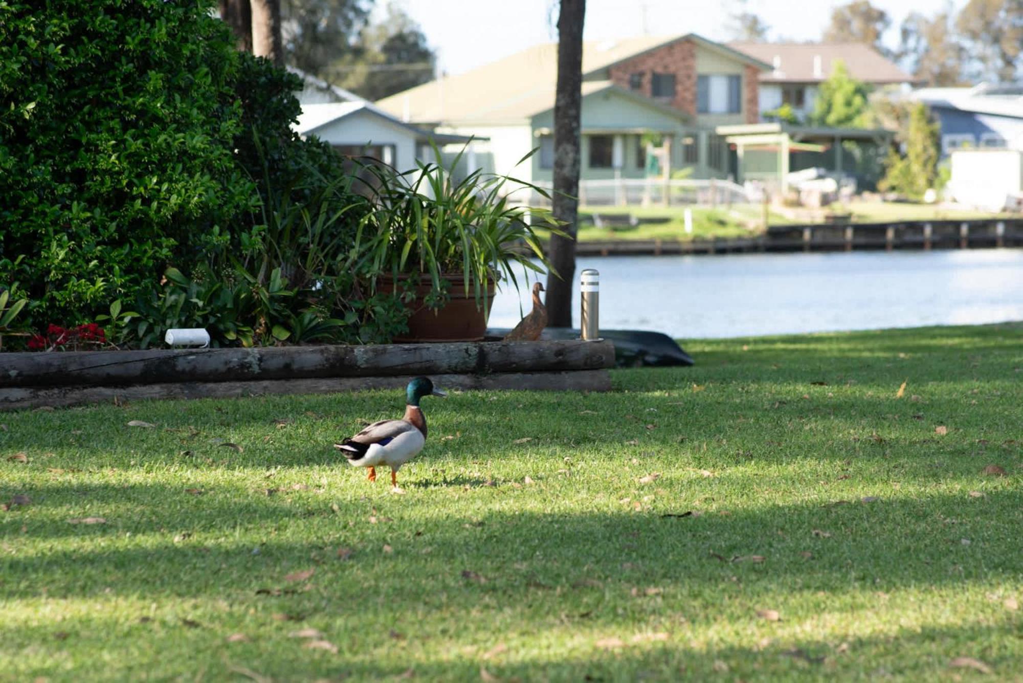 Riverside Splendour Chittaway Point Exterior photo